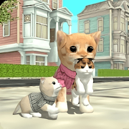 在线模拟猫测试服