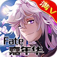 fate嘉年华加强版