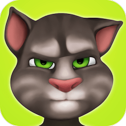 我的汤姆猫无敌版